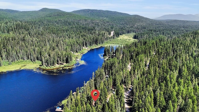 2862 Heritage Lake Way, Colville, WA 99114 - photo 30