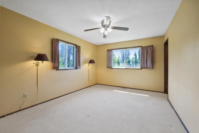 308 E Lenhard Dr, Deer Park, WA 99006 - photo 13