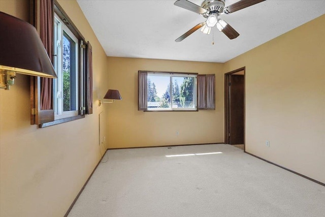 308 E Lenhard Dr, Deer Park, WA 99006 - photo 14