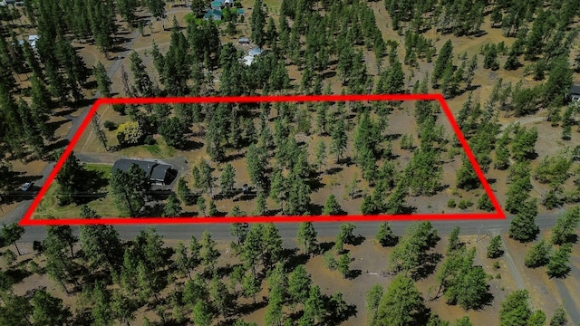 424 S Brooks Rd, Medical Lake, WA 99022 - photo 36