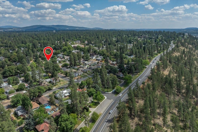 1105 W 23rd Ave, Spokane, WA 99203 - photo 48