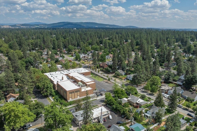 1105 W 23rd Ave, Spokane, WA 99203 - photo 49