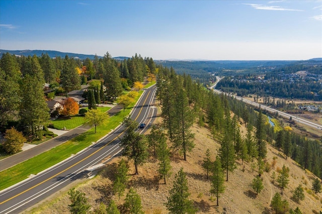 1105 W 23rd Ave, Spokane, WA 99203 - photo 50