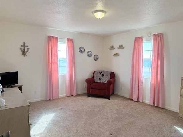 15977 E Laney Bros Rd, Odessa, WA 99159 - photo 13