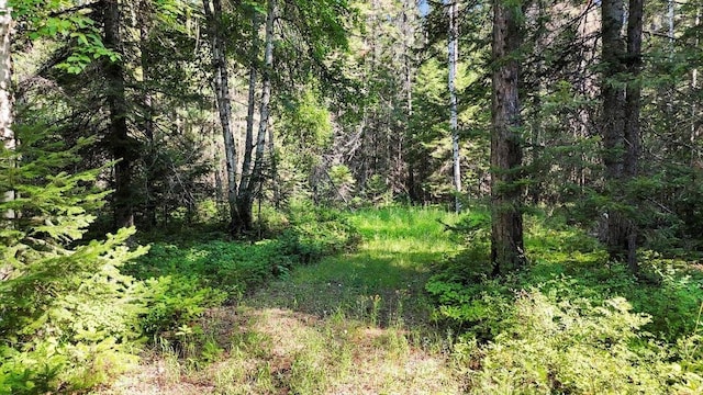 238 Rustic Rd, Cusick, WA 99119 - photo 1