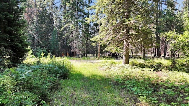 238 Rustic Rd, Cusick, WA 99119 - photo 2