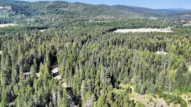 238 Rustic Rd, Cusick, WA 99119 - photo 11