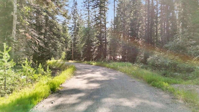 238 Rustic Rd, Cusick, WA 99119 - photo 3