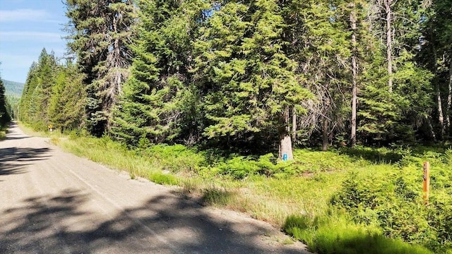 238 Rustic Rd, Cusick, WA 99119 - photo 4
