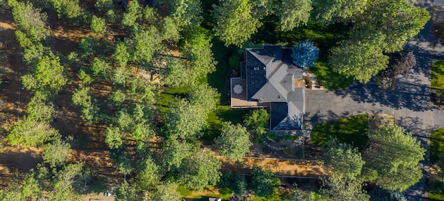 17805 N Saddle Hill Rd, Colbert, WA 99005 - photo 5
