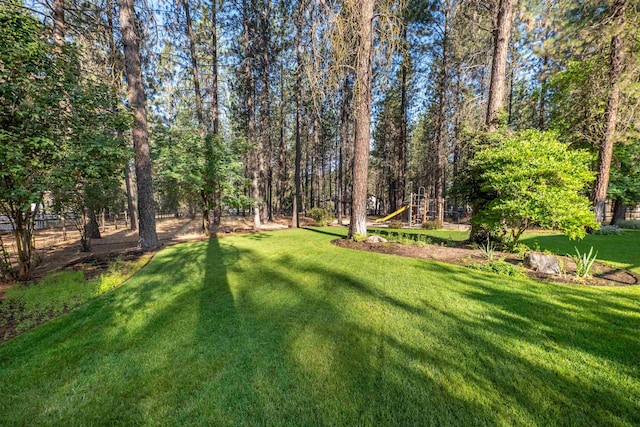17805 N Saddle Hill Rd, Colbert, WA 99005 - photo 46