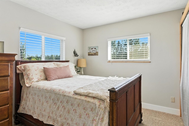 4596 Williams Valley Rd, Clayton, WA 99110 - photo 26