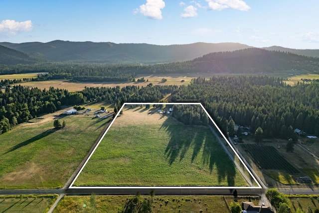 4596 Williams Valley Rd, Clayton, WA 99110 - photo 49
