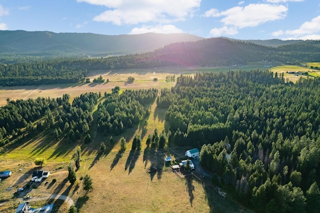 4596 Williams Valley Rd, Clayton, WA 99110 - photo 50
