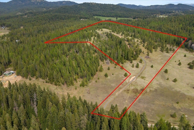 44XX Whittier Rd, Clayton, WA 99110 - photo 2