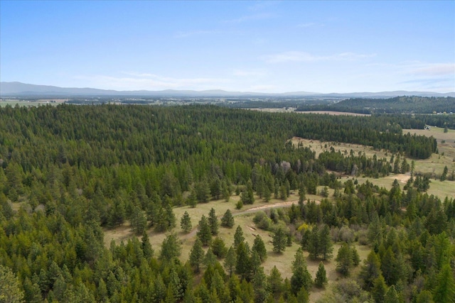 44XX Whittier Rd, Clayton, WA 99110 - photo 18