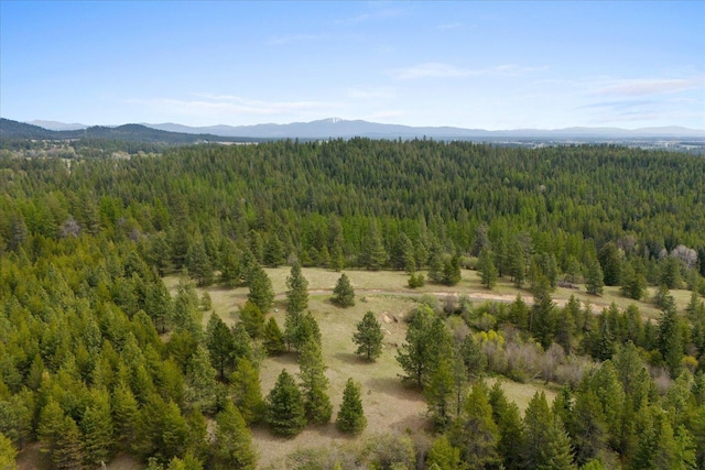 44XX Whittier Rd, Clayton, WA 99110 - photo 19