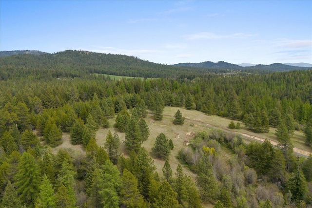 44XX Whittier Rd, Clayton, WA 99110 - photo 20
