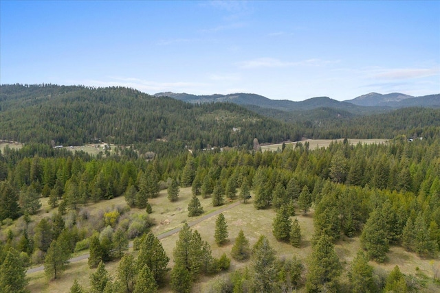 44XX Whittier Rd, Clayton, WA 99110 - photo 22