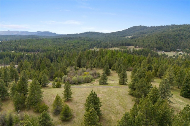 44XX Whittier Rd, Clayton, WA 99110 - photo 23