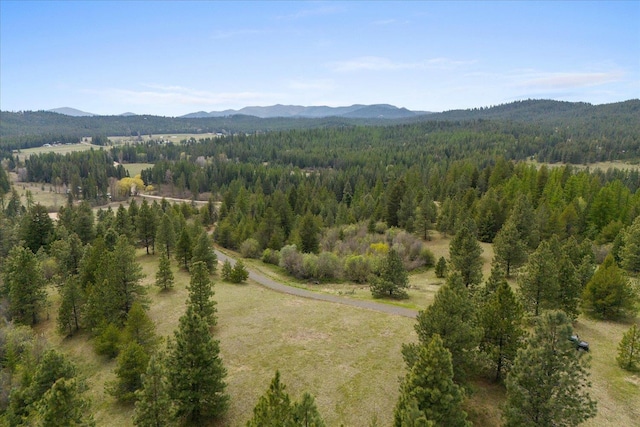 44XX Whittier Rd, Clayton, WA 99110 - photo 24