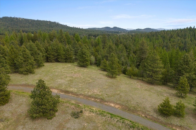 44XX Whittier Rd, Clayton, WA 99110 - photo 26