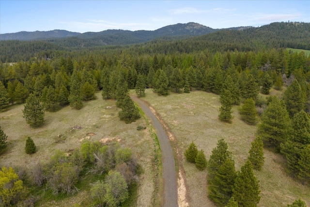 44XX Whittier Rd, Clayton, WA 99110 - photo 27