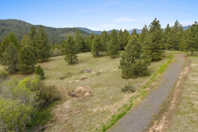 44XX Whittier Rd, Clayton, WA 99110 - photo 28
