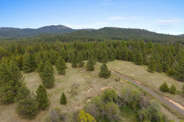 44XX Whittier Rd, Clayton, WA 99110 - photo 29
