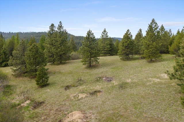 44XX Whittier Rd, Clayton, WA 99110 - photo 30