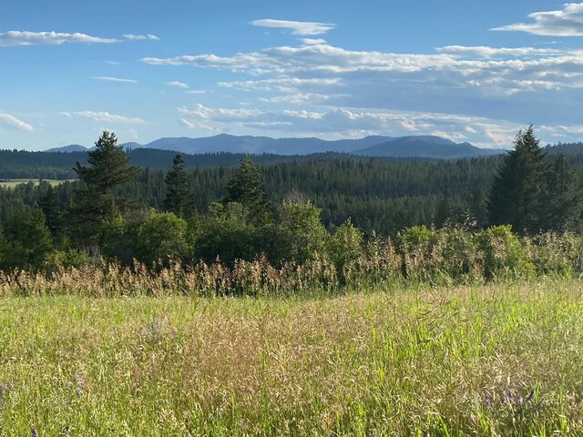 44XX Whittier Rd, Clayton, WA 99110 - photo 4
