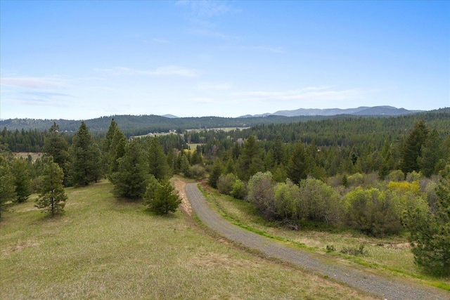44XX Whittier Rd, Clayton, WA 99110 - photo 31