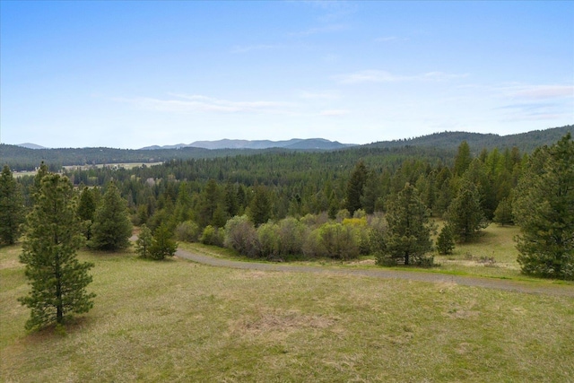44XX Whittier Rd, Clayton, WA 99110 - photo 32