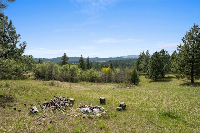 44XX Whittier Rd, Clayton, WA 99110 - photo 34