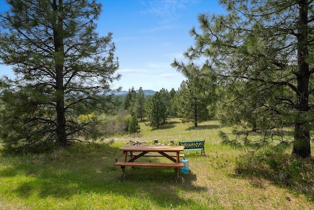 44XX Whittier Rd, Clayton, WA 99110 - photo 35