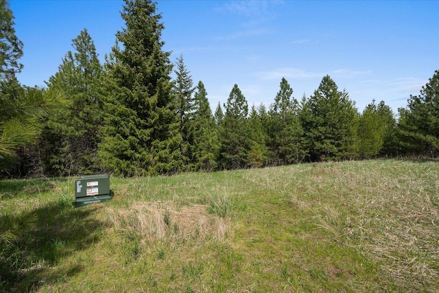 44XX Whittier Rd, Clayton, WA 99110 - photo 36