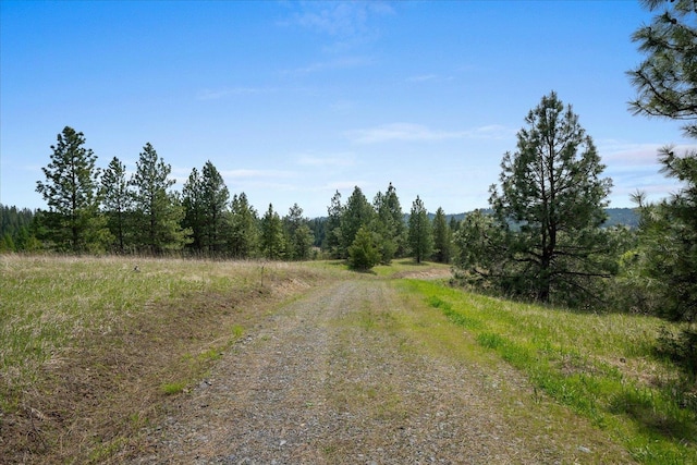 44XX Whittier Rd, Clayton, WA 99110 - photo 38