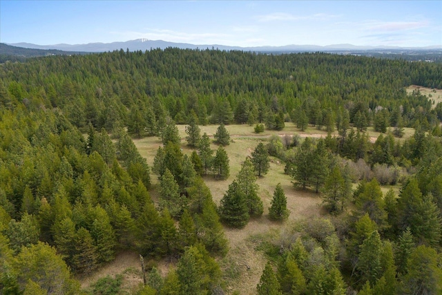 44XX Whittier Rd, Clayton, WA 99110 - photo 39