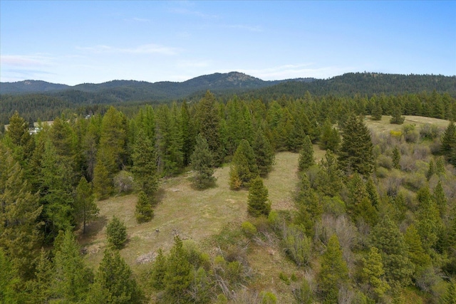 44XX Whittier Rd, Clayton, WA 99110 - photo 40
