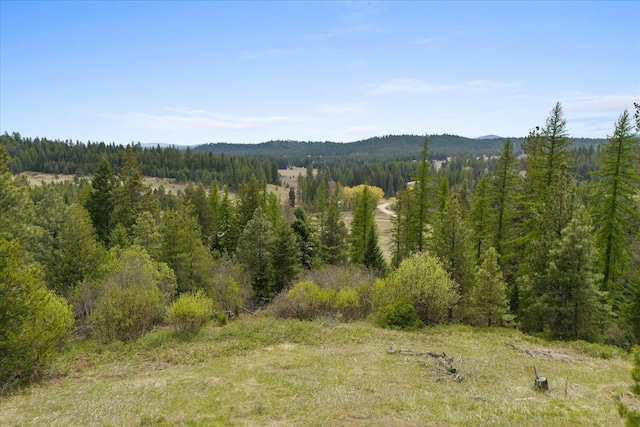 44XX Whittier Rd, Clayton, WA 99110 - photo 41