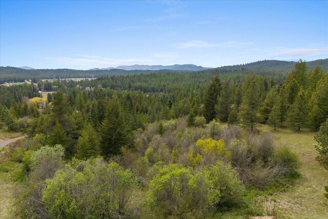 44XX Whittier Rd, Clayton, WA 99110 - photo 42
