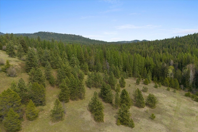 44XX Whittier Rd, Clayton, WA 99110 - photo 43