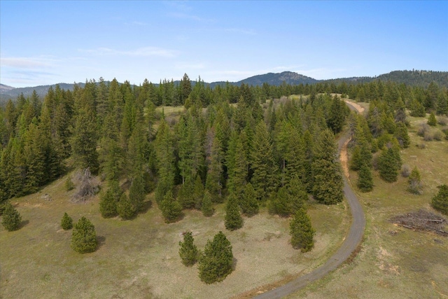44XX Whittier Rd, Clayton, WA 99110 - photo 44