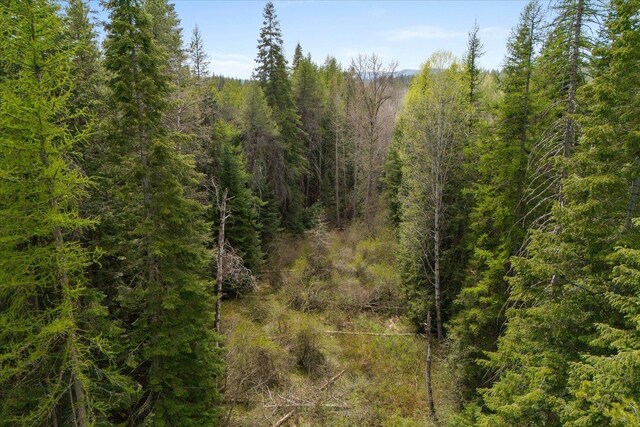 44XX Whittier Rd, Clayton, WA 99110 - photo 46