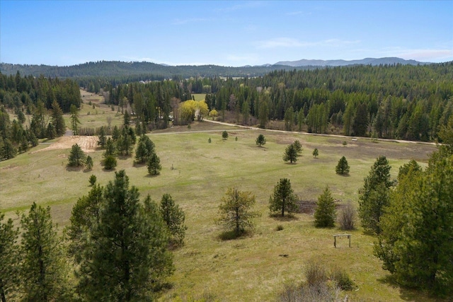 44XX Whittier Rd, Clayton, WA 99110 - photo 47