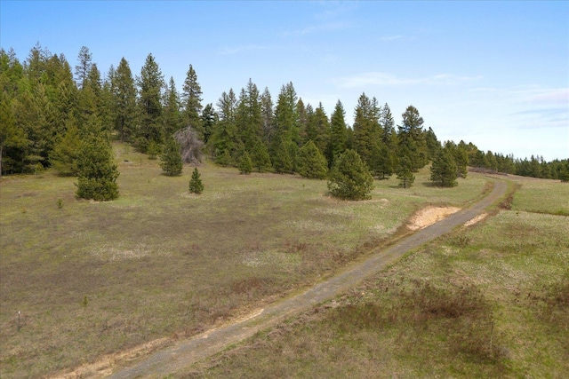 44XX Whittier Rd, Clayton, WA 99110 - photo 48