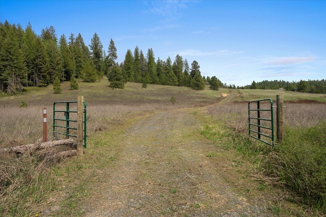 44XX Whittier Rd, Clayton, WA 99110 - photo 49