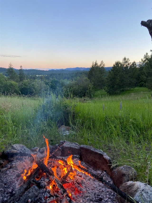 44XX Whittier Rd, Clayton, WA 99110 - photo 6