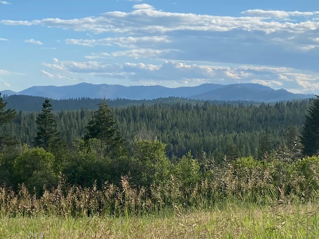 44XX Whittier Rd, Clayton, WA 99110 - photo 9