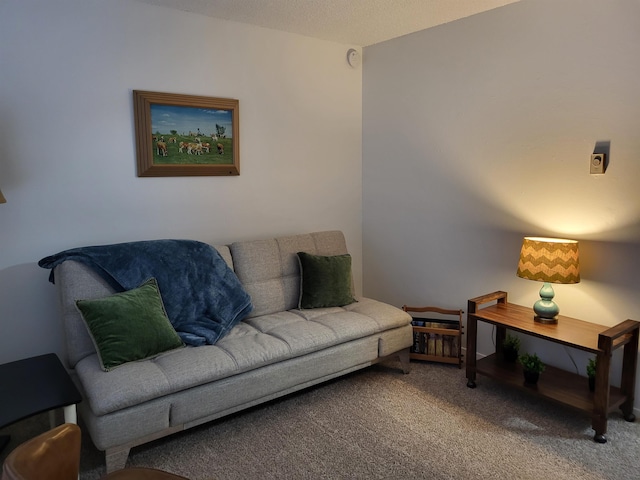 1415 W 9th Ave, Spokane, WA 99204 - photo 24